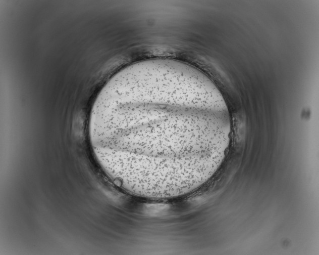 X0000100970266200807151358