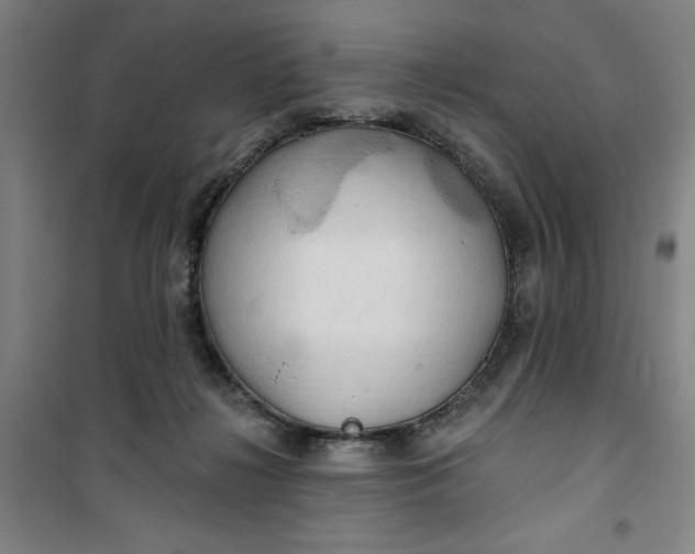 X0000100970268200807151358