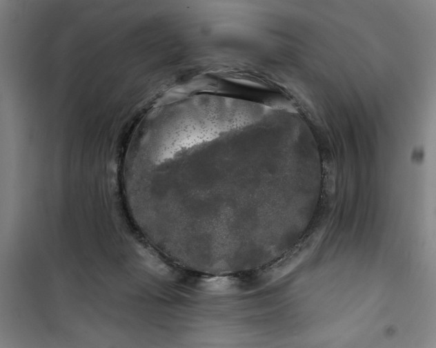 X0000100970269200807151358