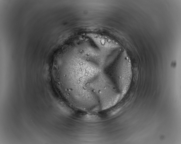 X0000100970270200807151358