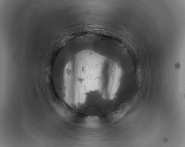 X0000100970271200807151358