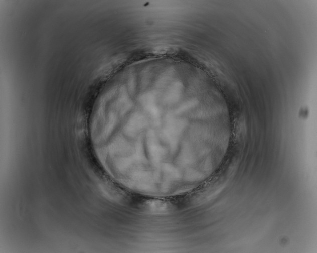 X0000100970272200807151358