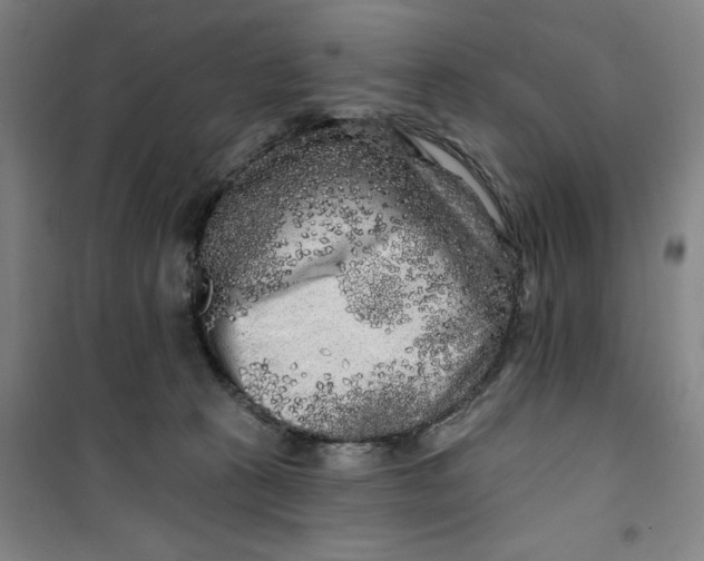 X0000100970273200807151358