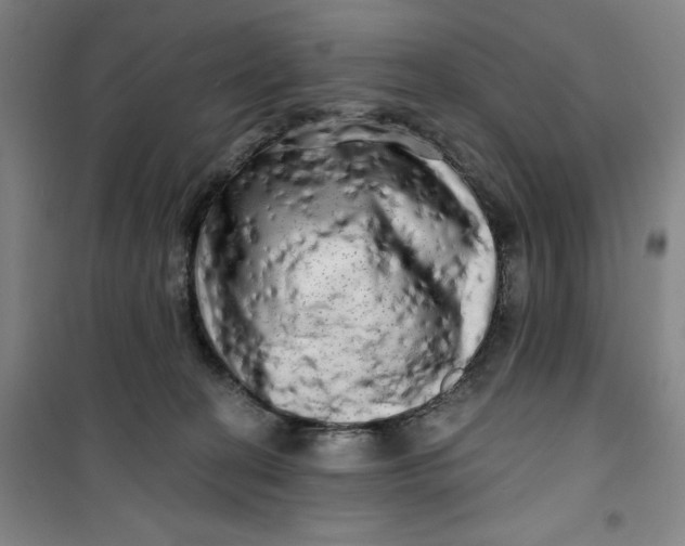 X0000100970274200807151358