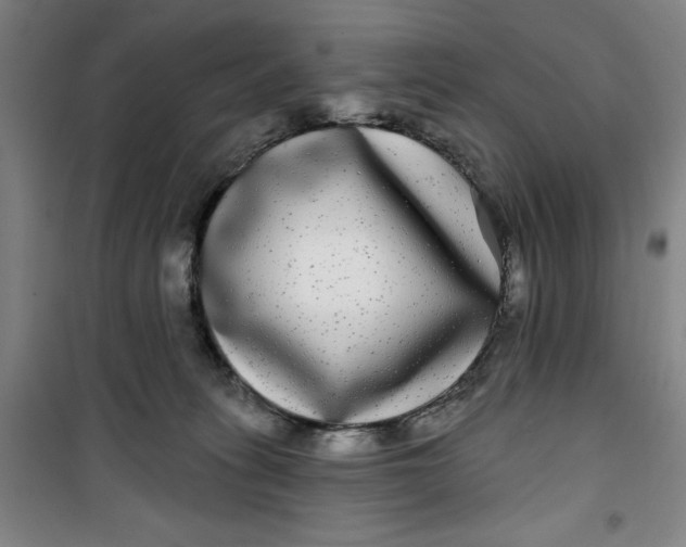 X0000100970275200807151358