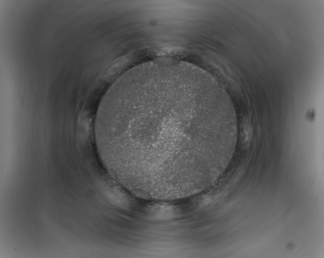 X0000100970276200807151358