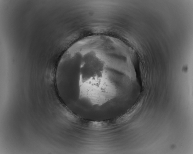 X0000100970277200807151358