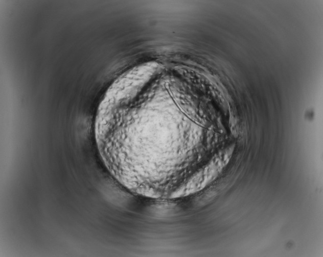 X0000100970278200807151358