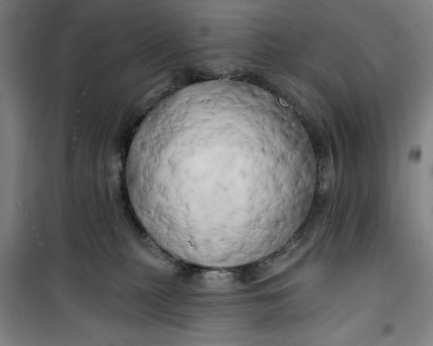 X0000100970279200807151358