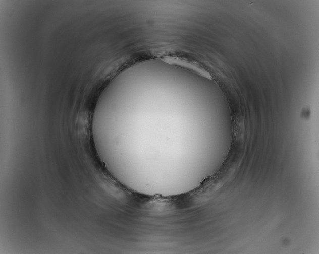 X0000100970280200807151358