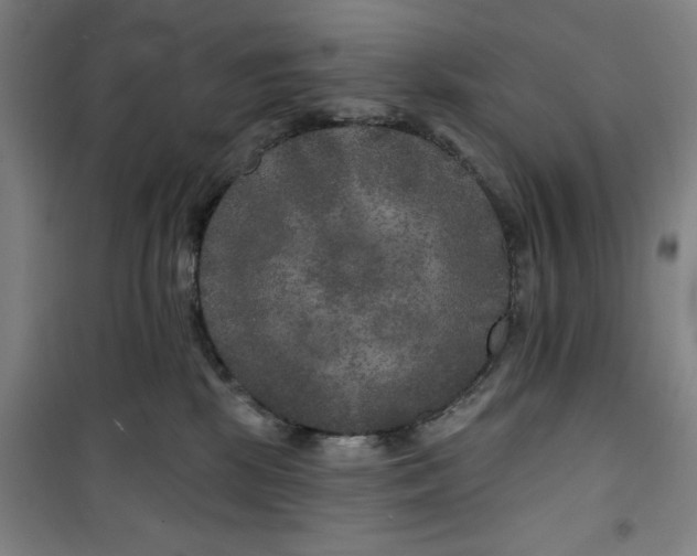 X0000100970281200807151358