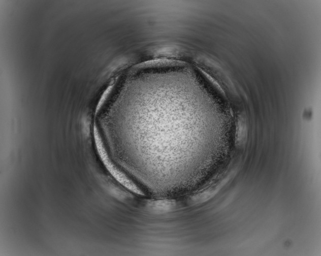 X0000100970282200807151358
