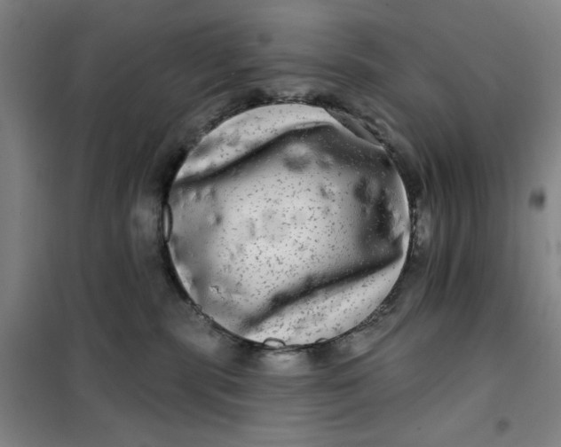 X0000100970283200807151358