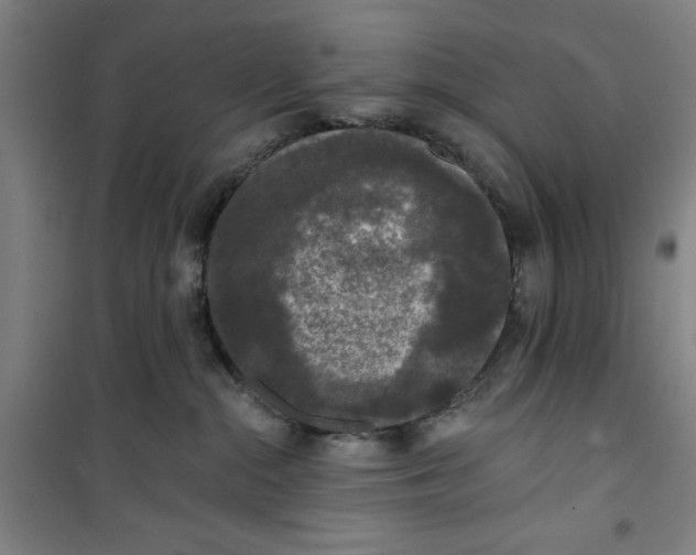X0000100970284200807151359