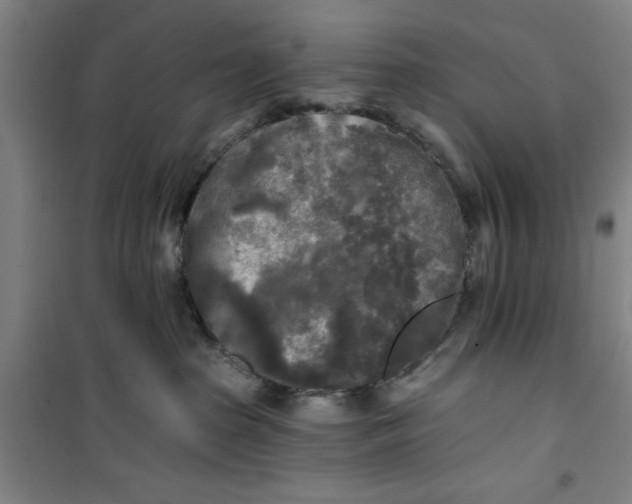 X0000100970285200807151359