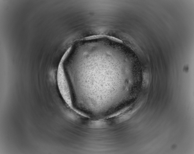 X0000100970286200807151359
