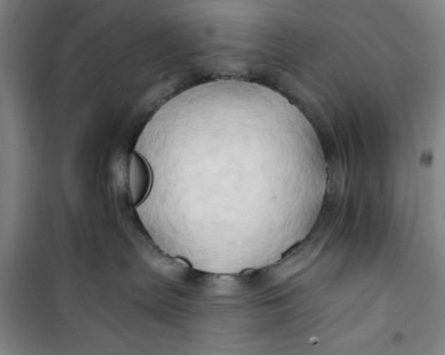 X0000100970287200807151359