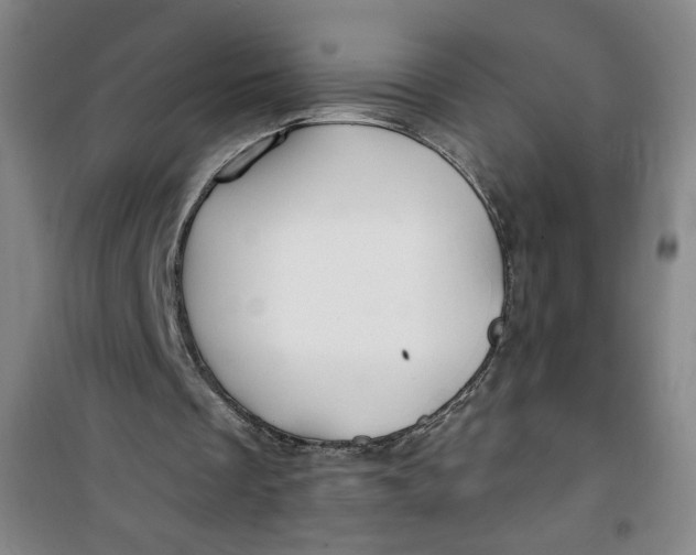 X0000100970289200807151358
