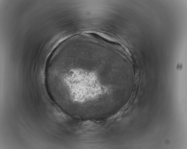 X0000100970290200807151358