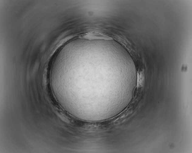 X0000100970291200807151358