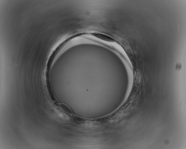 X0000100970292200807151358