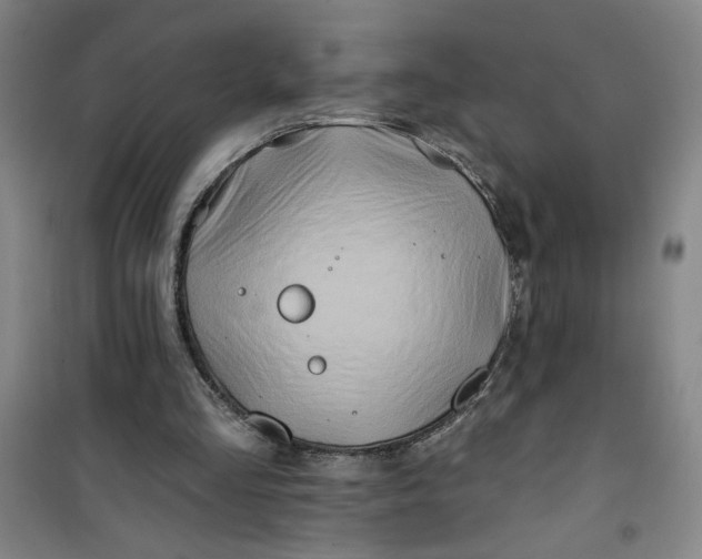 X0000100970293200807151358