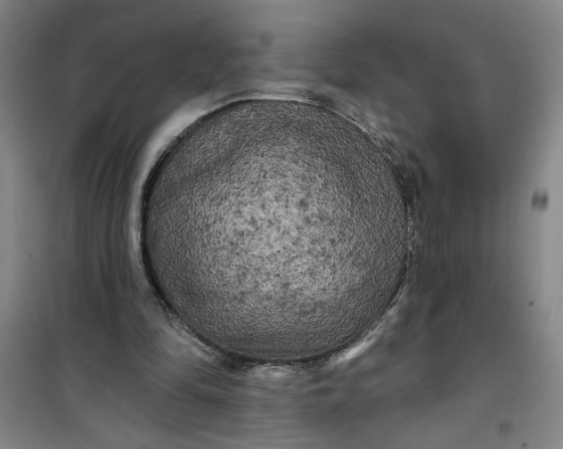X0000100970294200807151358
