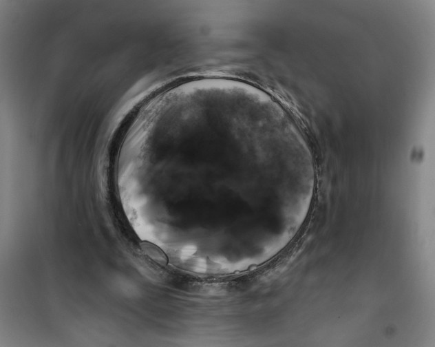 X0000100970295200807151358