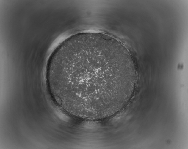 X0000100970296200807151358