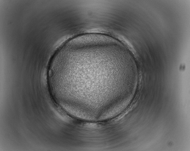 X0000100970298200807151358