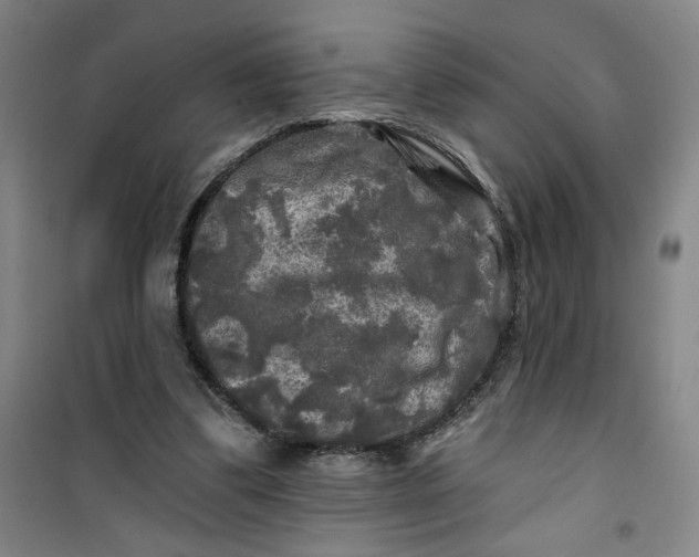 X0000100970299200807151358