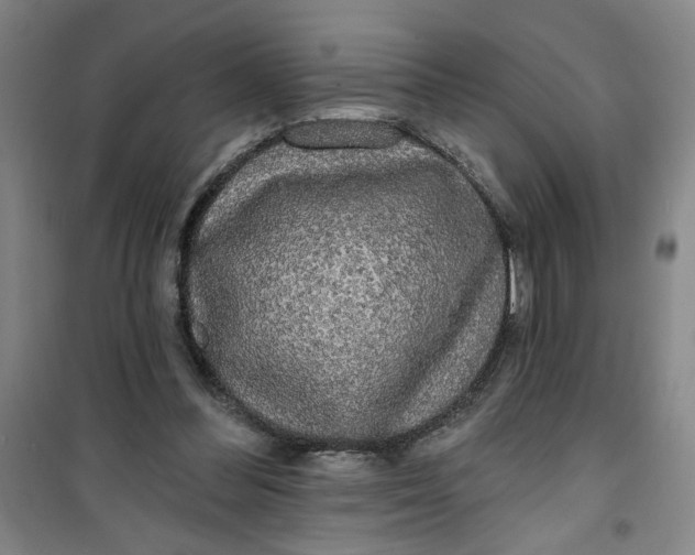 X0000100970300200807151358