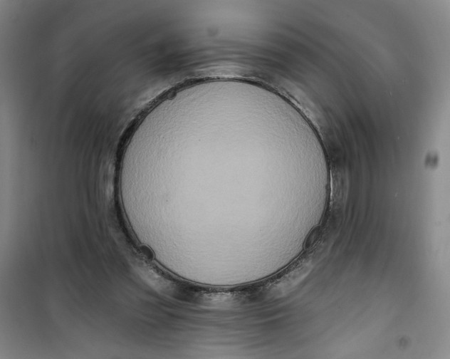 X0000100970301200807151358