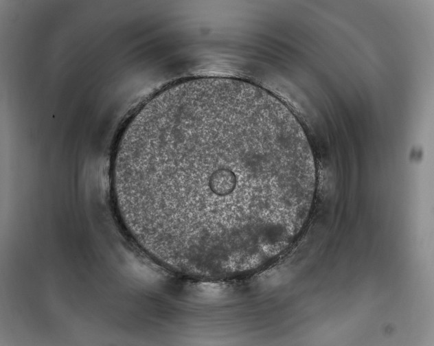 X0000100970302200807151358