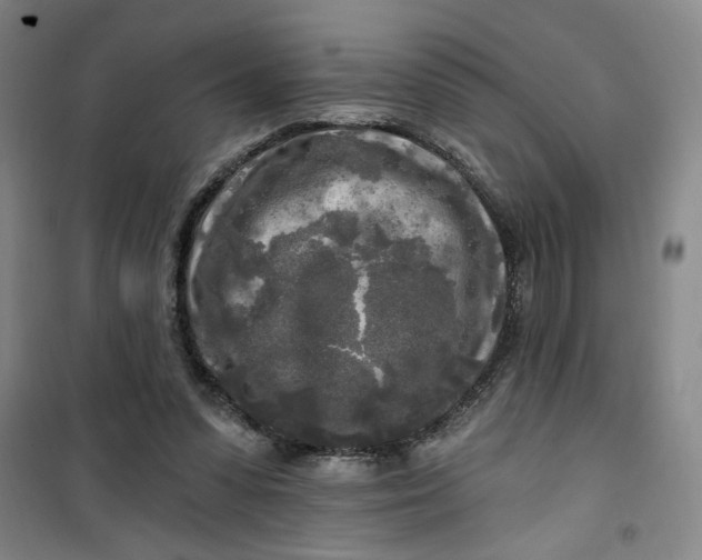 X0000100970303200807151358