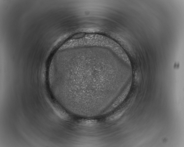 X0000100970304200807151358