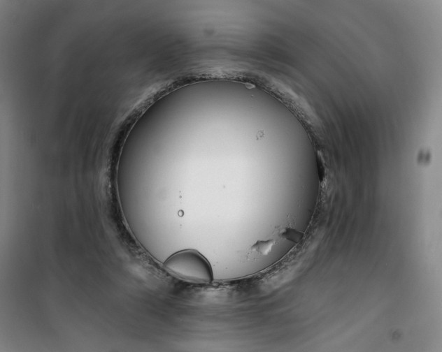 X0000100970306200807151358