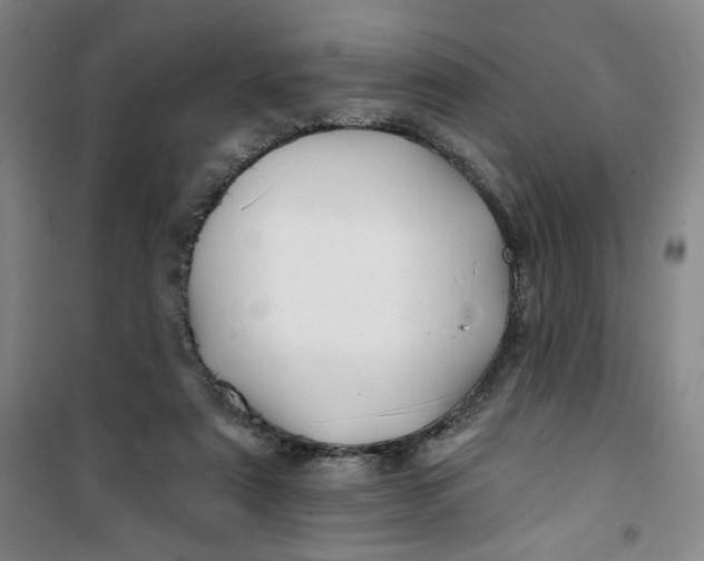 X0000100970307200807151358
