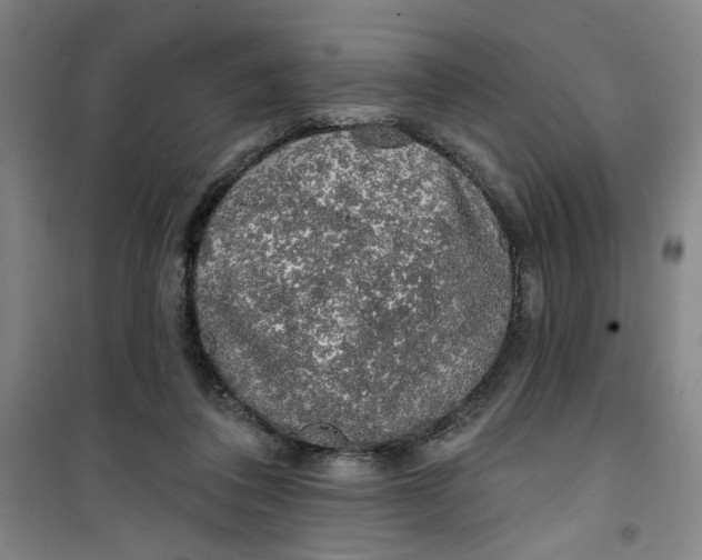 X0000100970308200807151358