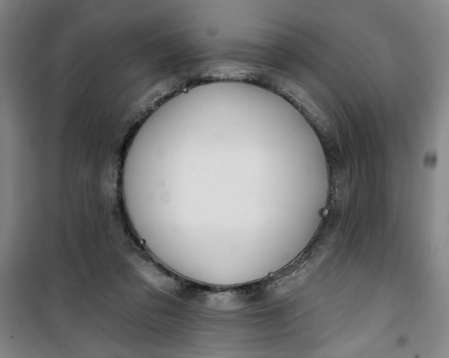 X0000100970309200807151358