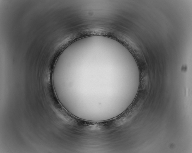 X0000100970310200807151358