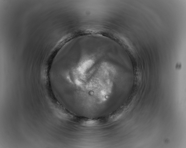X0000100970312200807151358