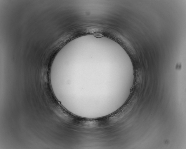 X0000100970313200807151358
