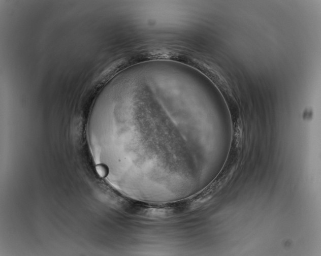 X0000100970314200807151358