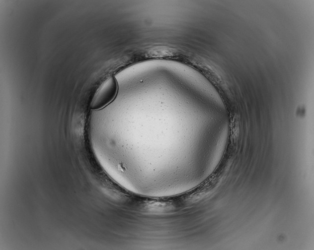 X0000100970315200807151358