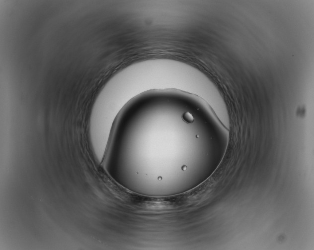 X0000100970316200807151358