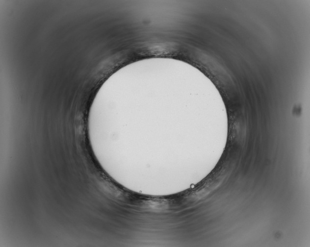 X0000100970317200807151358