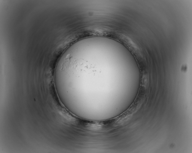 X0000100970318200807151357