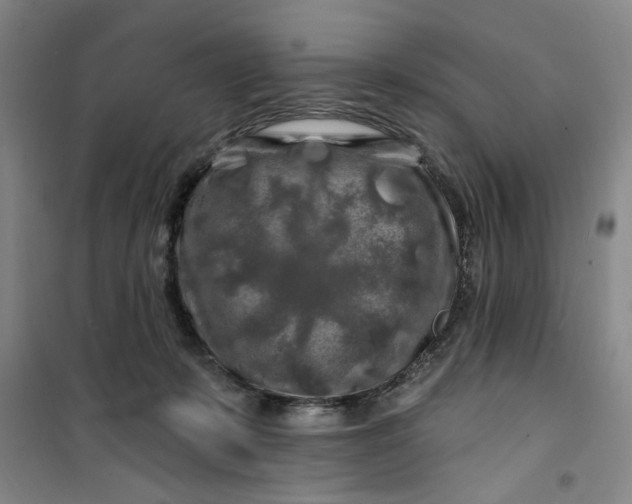 X0000100970319200807151357