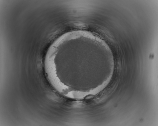 X0000100970320200807151357
